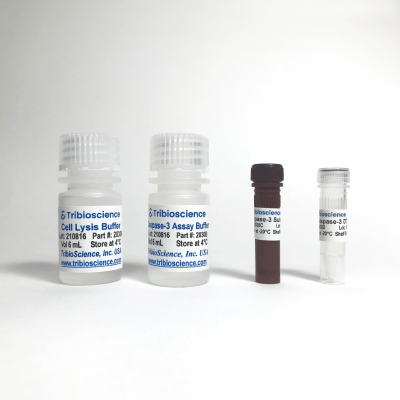 Caspase Colorimetric Assay Kit Tbs Tribioscience