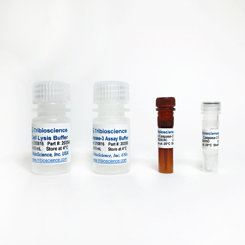 Caspase 3 Fluorometric Assay Kit Tribioscience