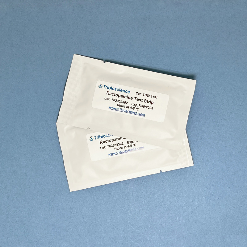 this is the product image placeholder