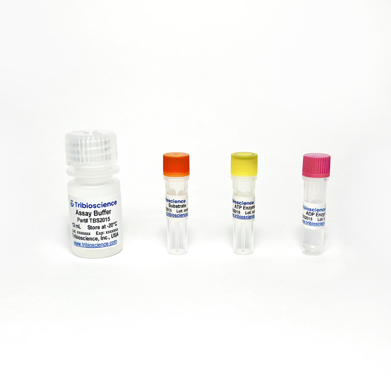 ADP/ATP Ratio Assay Kit (Bioluminescent) (TBS2015) – Tribioscience