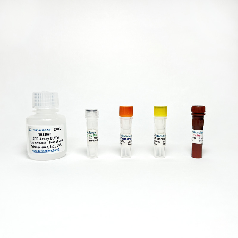 ADP Colorimetric/Fluorometric Assay Kit (TBS2020) – Tribioscience