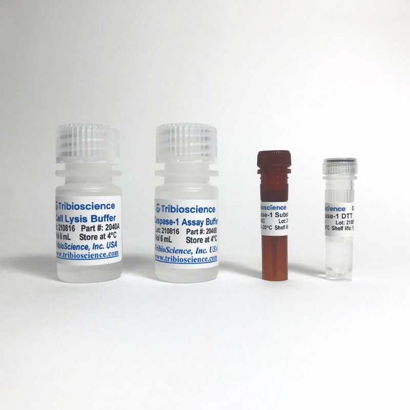 Caspase-1 Colorimetric Assay Kit (TBS2040) – Tribioscience