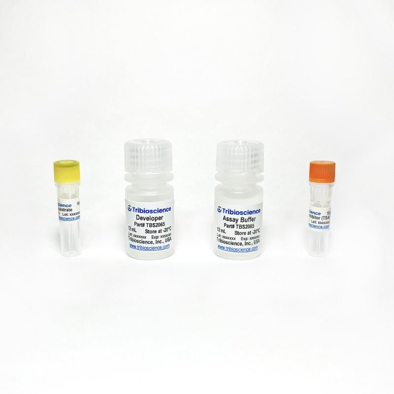 HDAC Colorimetric Assay Kit (TBS2065) – Tribioscience