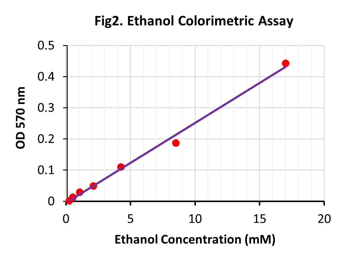 Ethanol Assay Kit