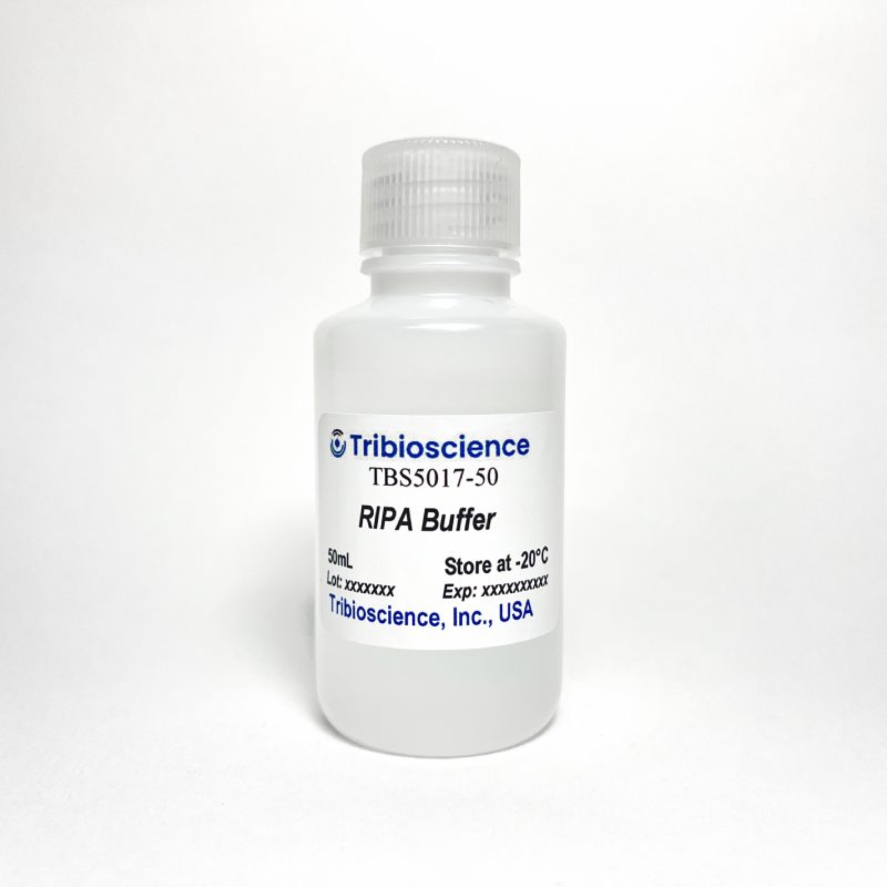 RIPA Buffer (TBS5017) – Tribioscience