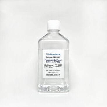 10x Phosphate Buffered Saline (PBS), Sterile (TBS5027) – Tribioscience