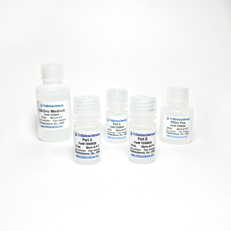 Tribo™ Brown Adipocyte Differentiation Kit (TBS8028) – Tribioscience