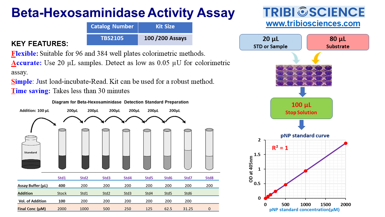 βHexosaminidase Activity Assay (TBS2105) Tribioscience