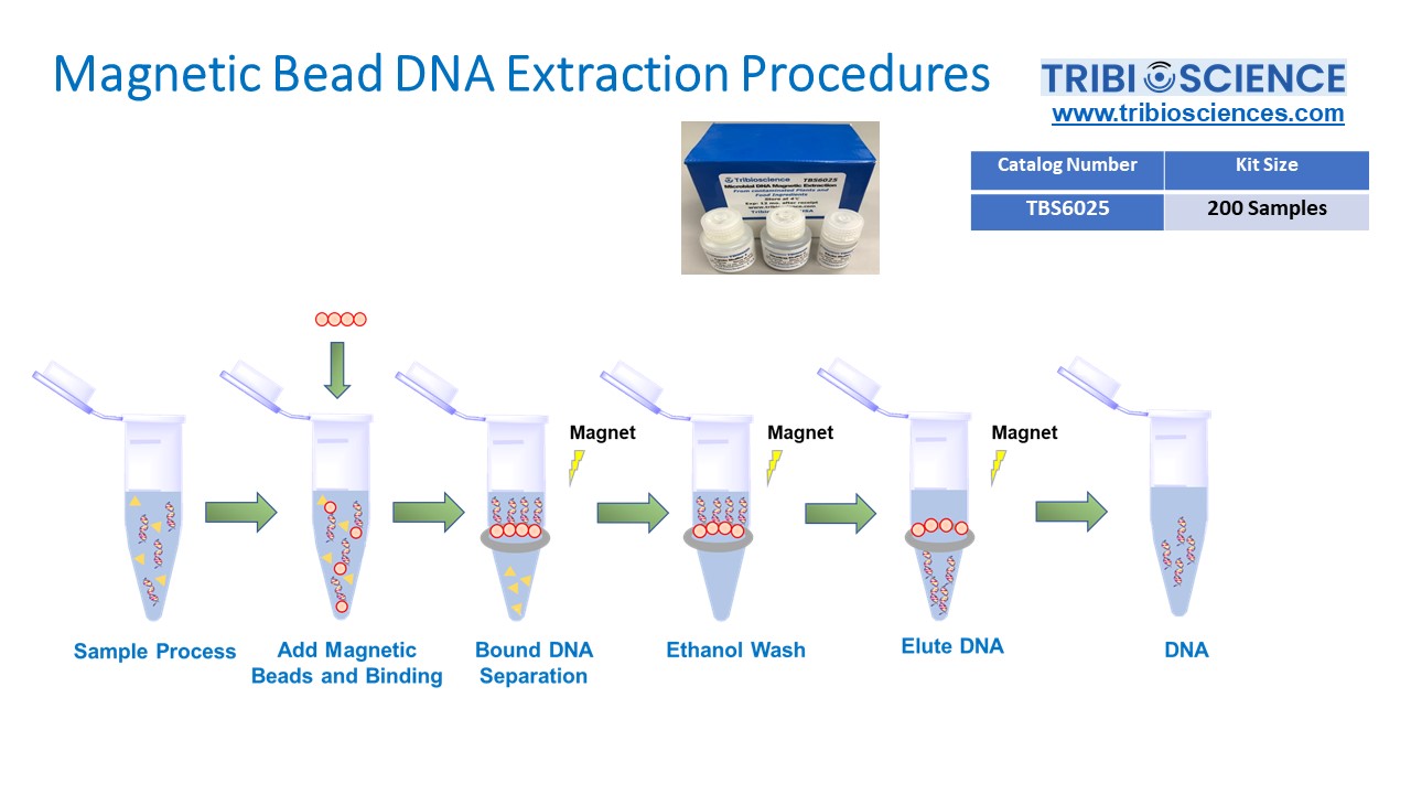 Microbial DNA Extraction Kit (TBS6025) Tribioscience