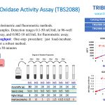 TBS2088-Fast-Glucose-Oxidase-Activity-Assay_PPT-1