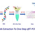 one-step qRT-PCR-ppt_2020-1