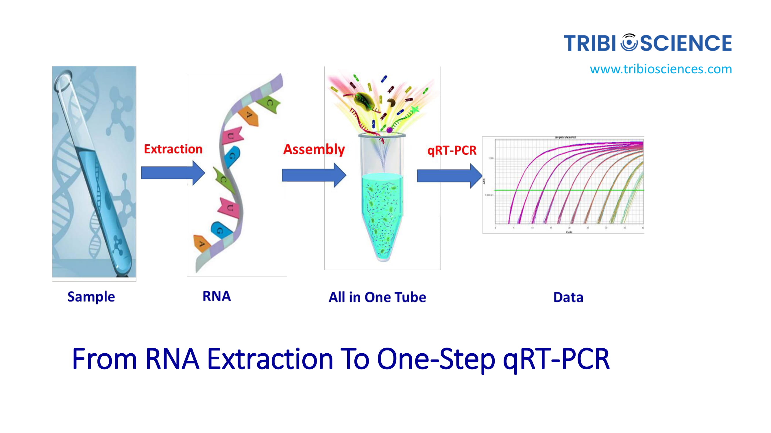 one-step-taqprobe-qrt-pcr-kit-tribioscience