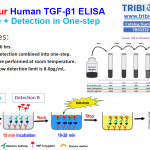 TBS3232_ppt_Summary