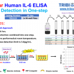 TBS3223_Fast Human IL-6 ELISA_V1_single-8_24-2020