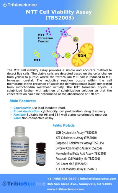 MTT Cell Viability Assay – Tribioscience