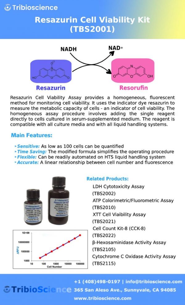 Resazurin Cell Viability Kit – Tribioscience