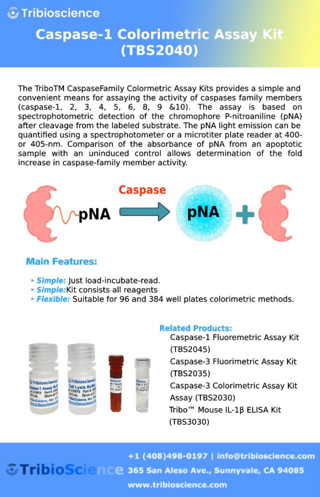 Caspase-1 Colorimetric Assay kit – Tribioscience