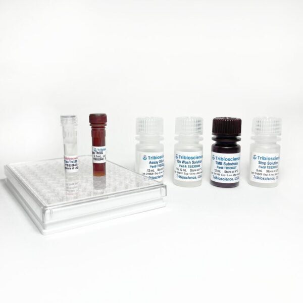 Fast Human Phospho Tau Thr181 (p-T181) ELISA (TBS3294