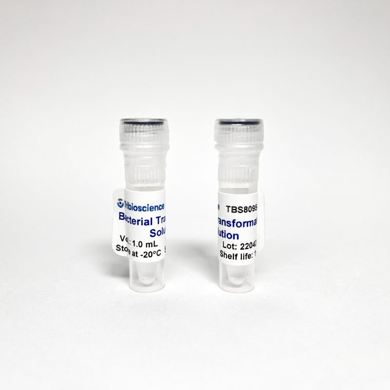 TBOU Bacterial Transformation Buffer (TBS8095) – Tribioscience