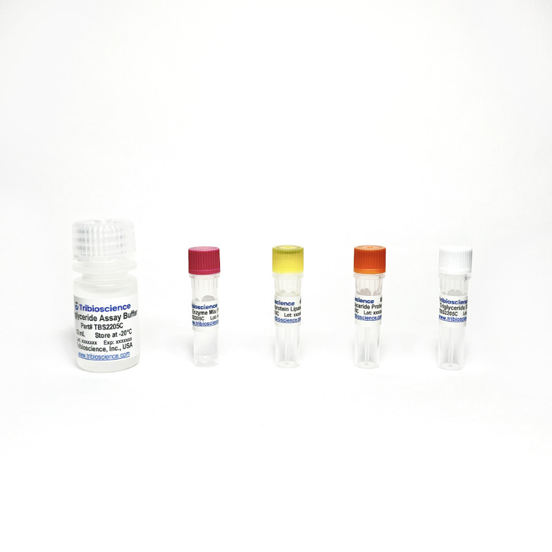 Triglyceride Colorimetric Assay (TBS2205C) – Tribioscience