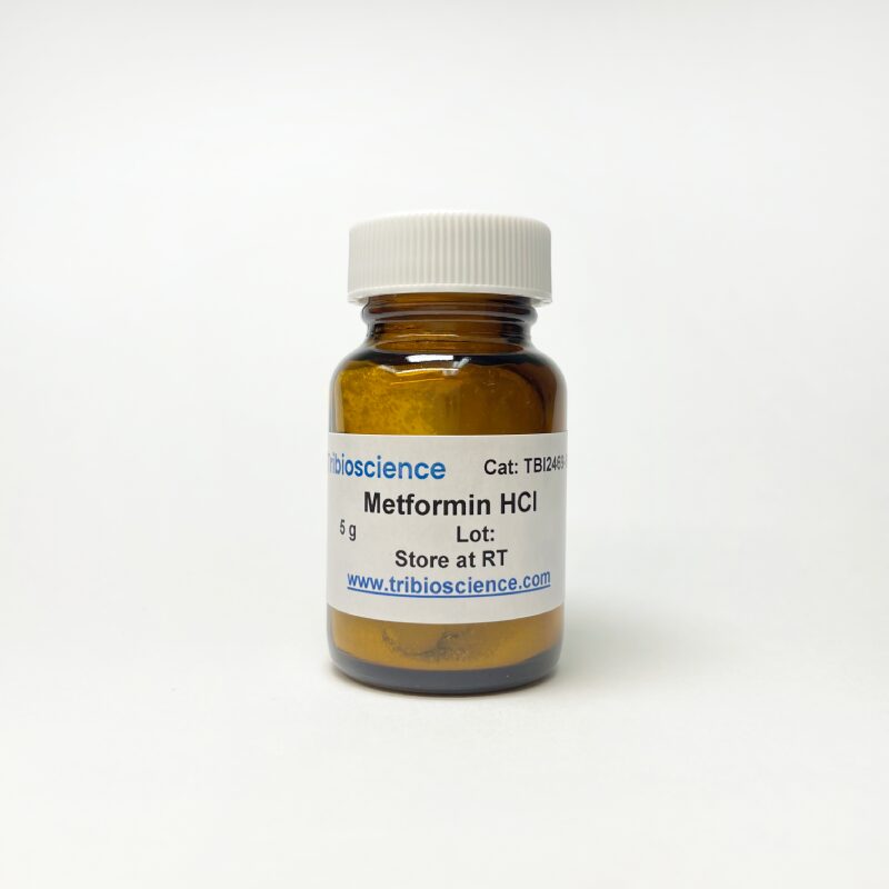 TBI2469