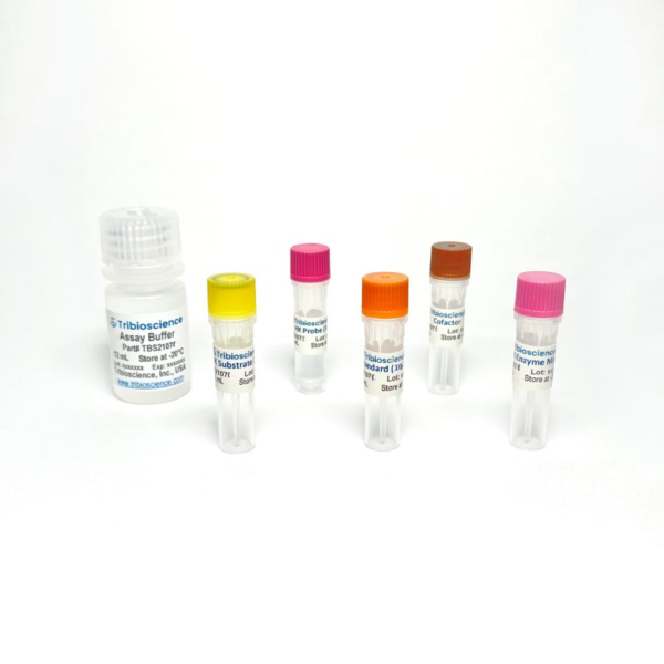TBS2107F