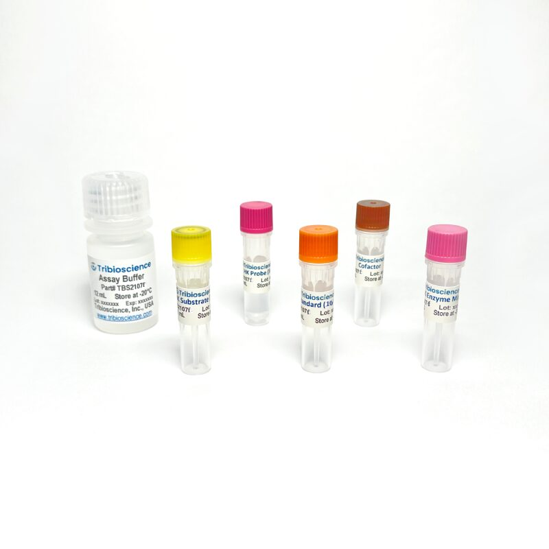 TBS2107F