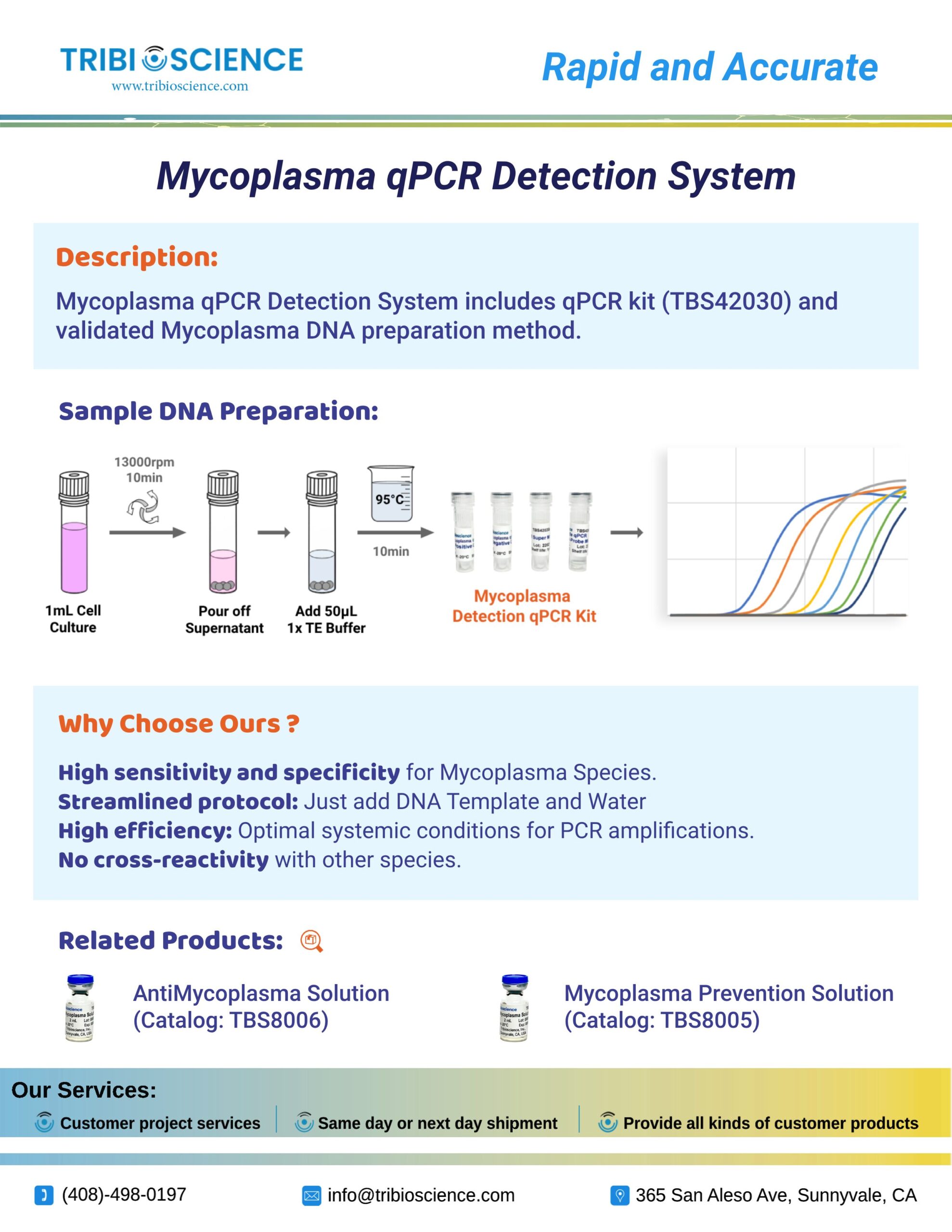 Mycoplasma qPCR Detection System – Tribioscience