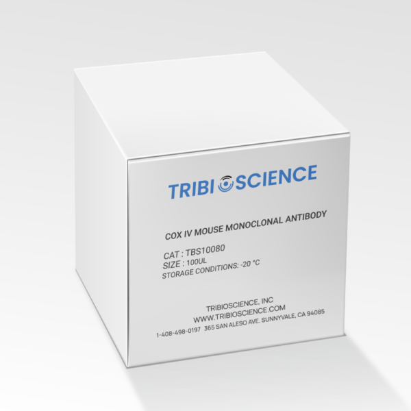 TBS10080