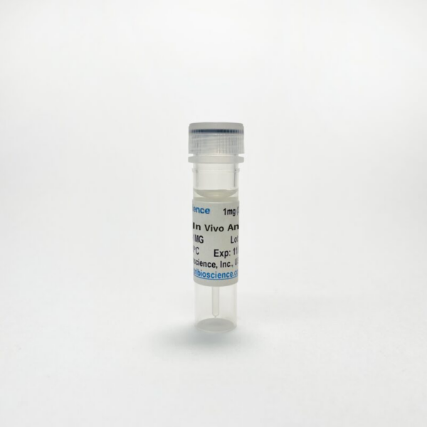 In Vivo image
