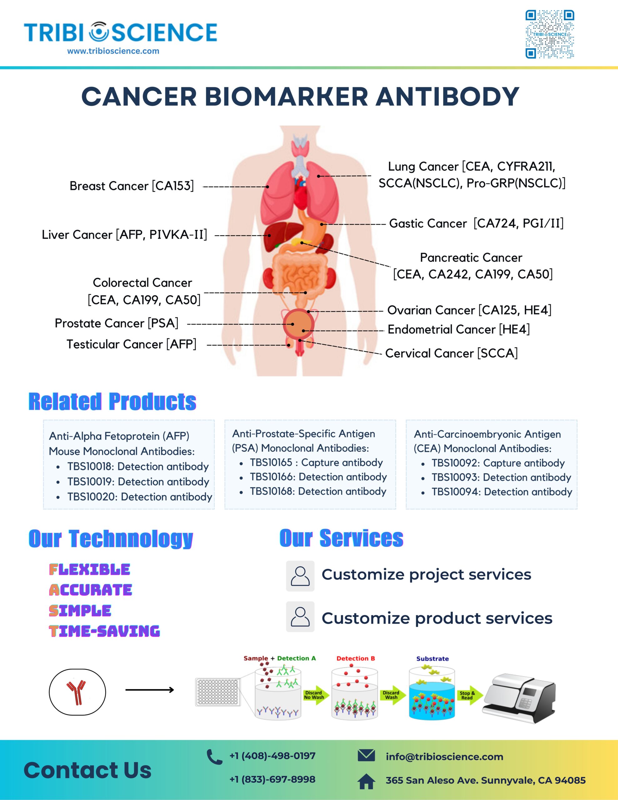 2. Cancer biomarker