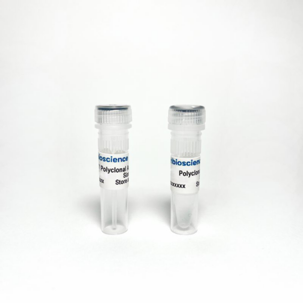 Polyclonal