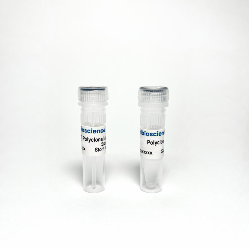 Polyclonal
