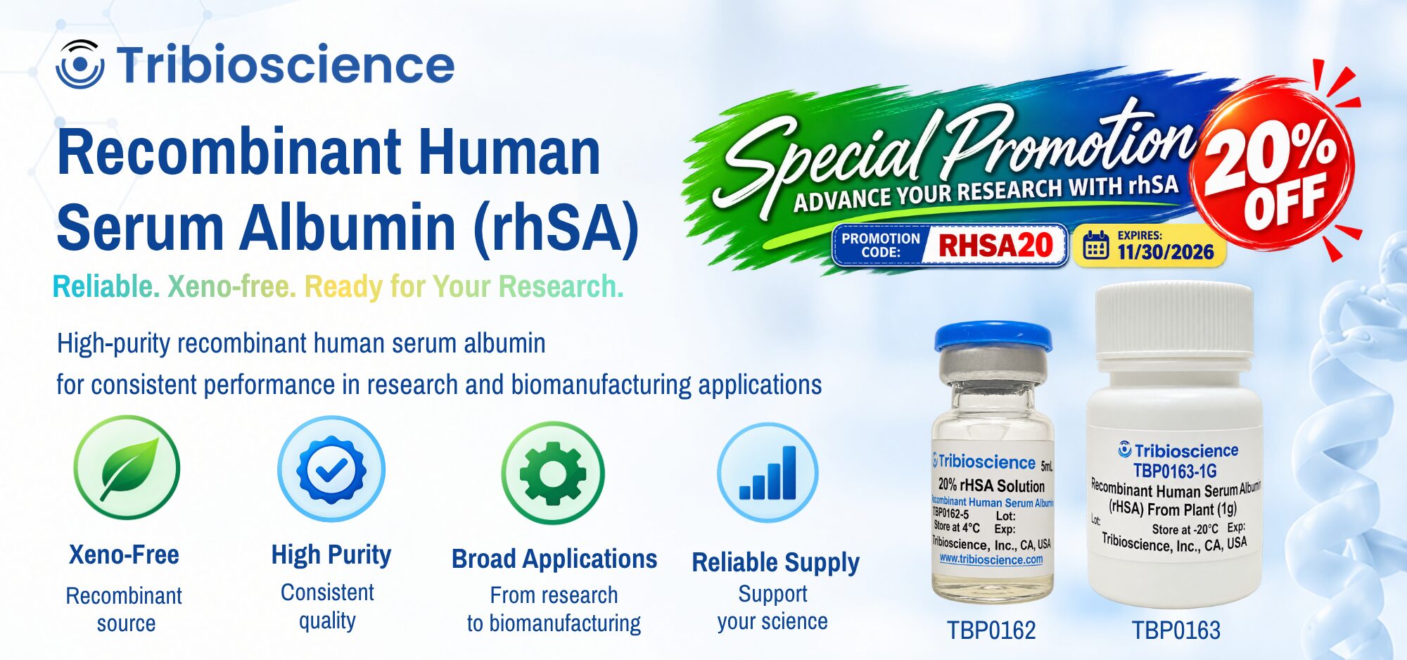 Promotion flyer header
