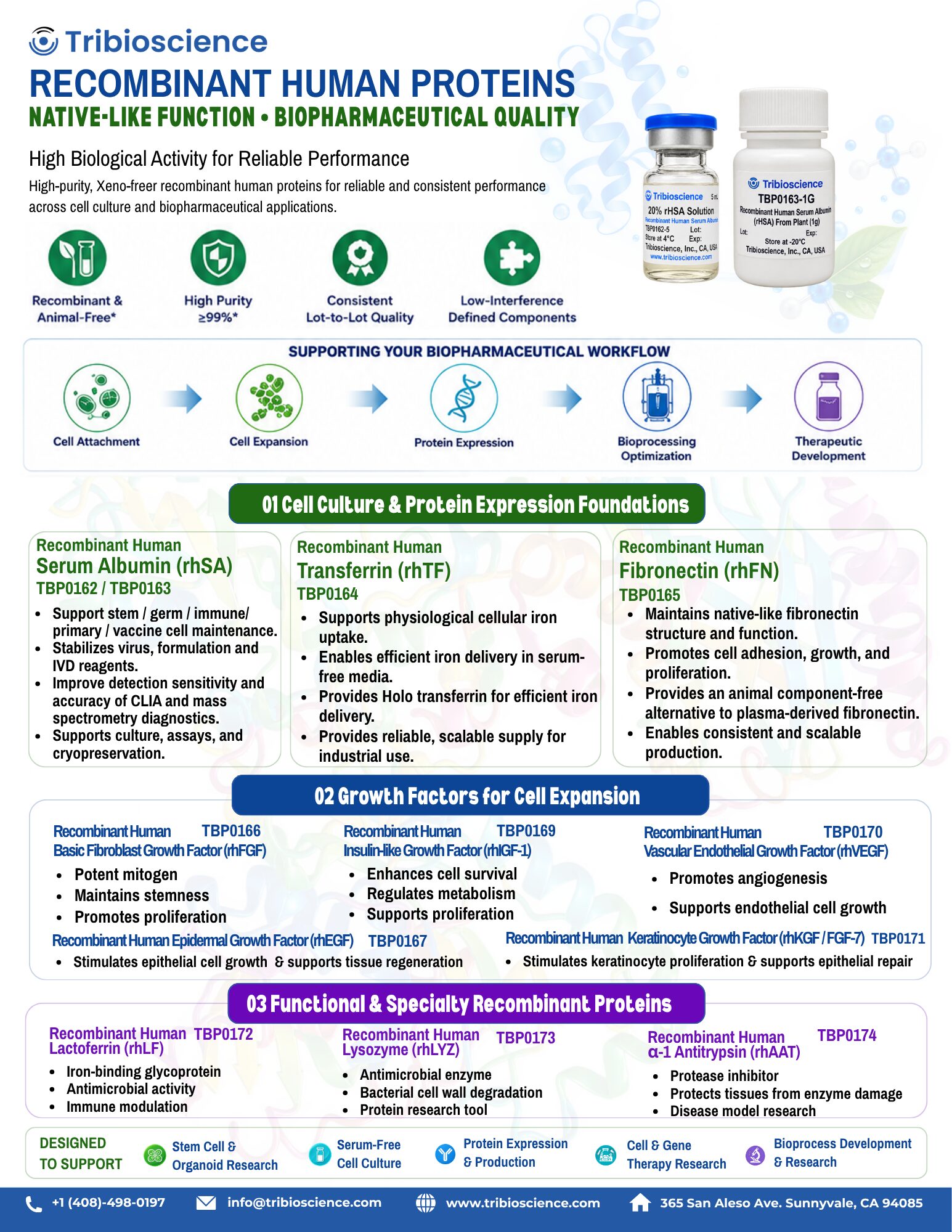 Recombinant Human Proteins_V09